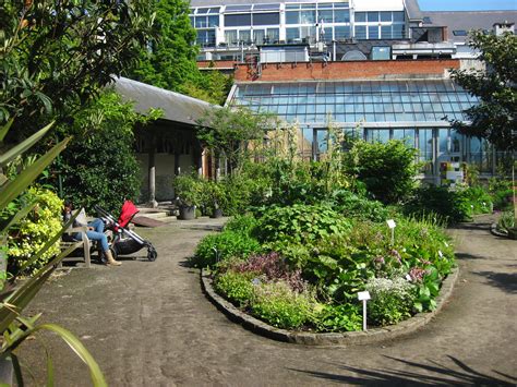 Den Botaniek Plantentuin Antwerpen